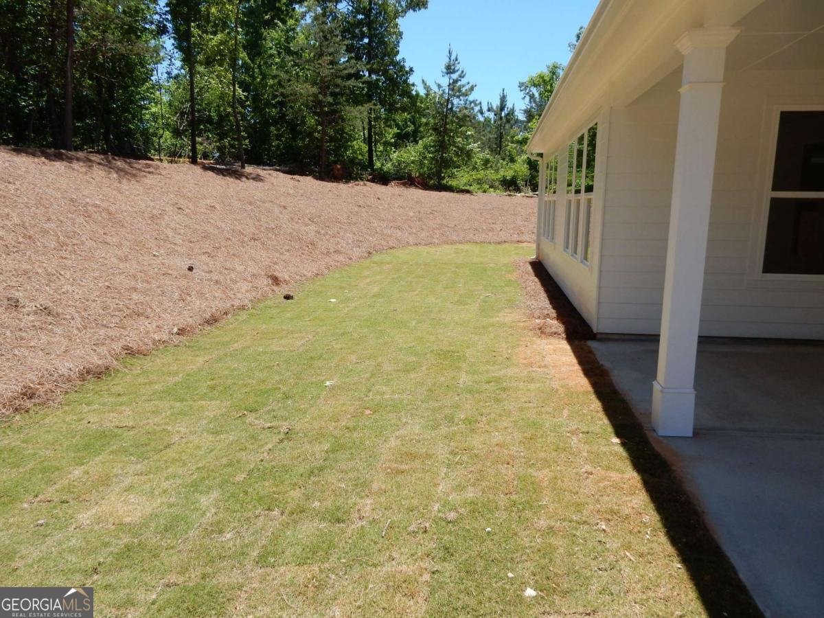 618 Sweetgrass Drive Demorest - Photo 20