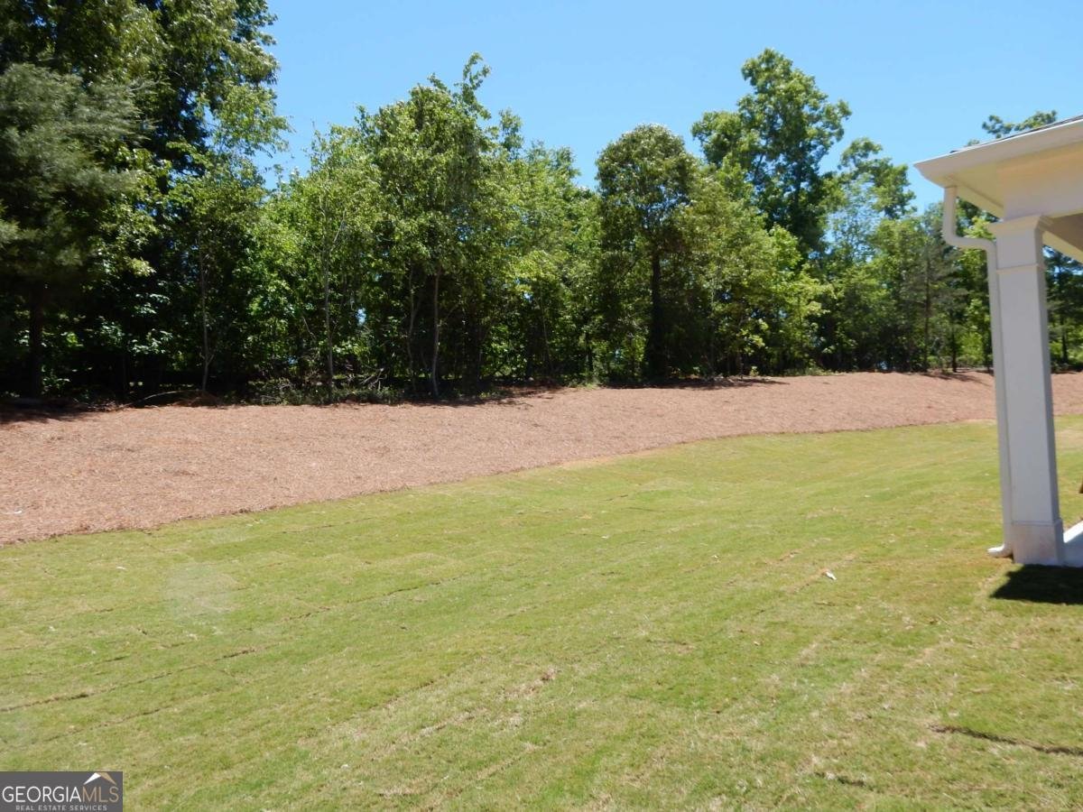 630 Sweetgrass Drive Demorest - Photo 10