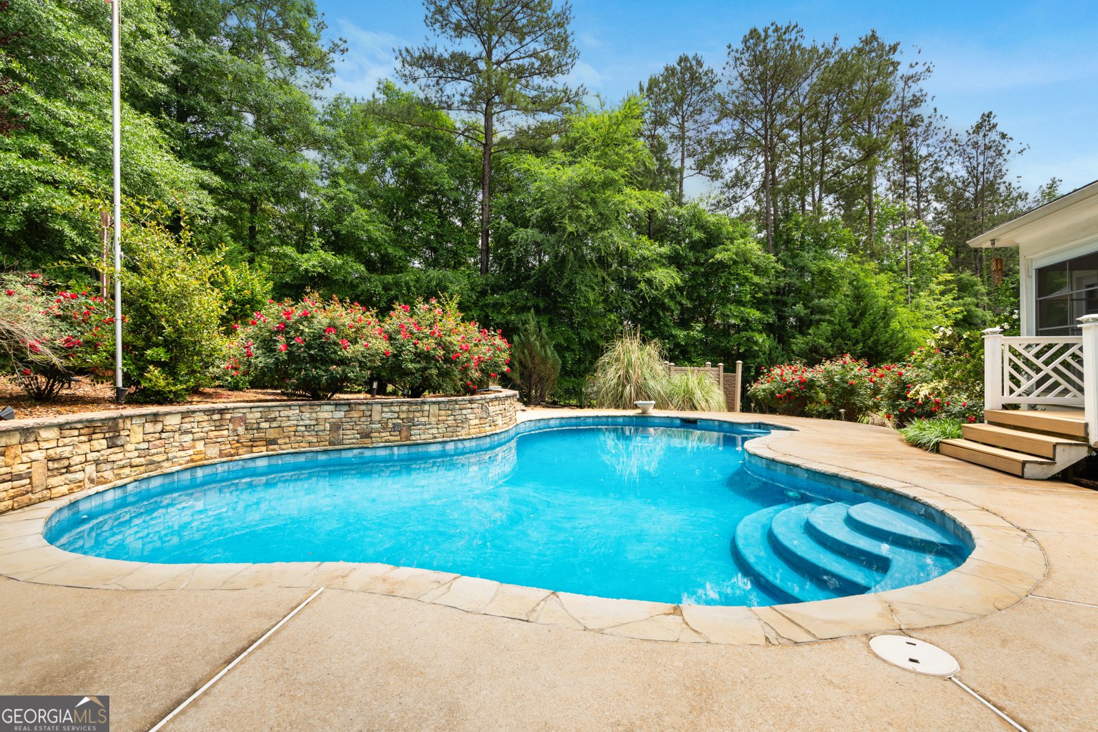 1001 Laurel Ridge Drive McDonough - Photo 57