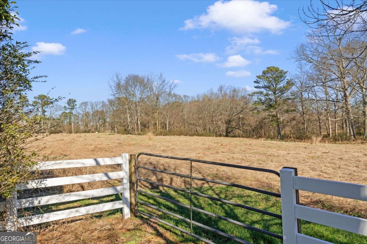 220 McKenzie Bridge Road Carrollton - Photo 64