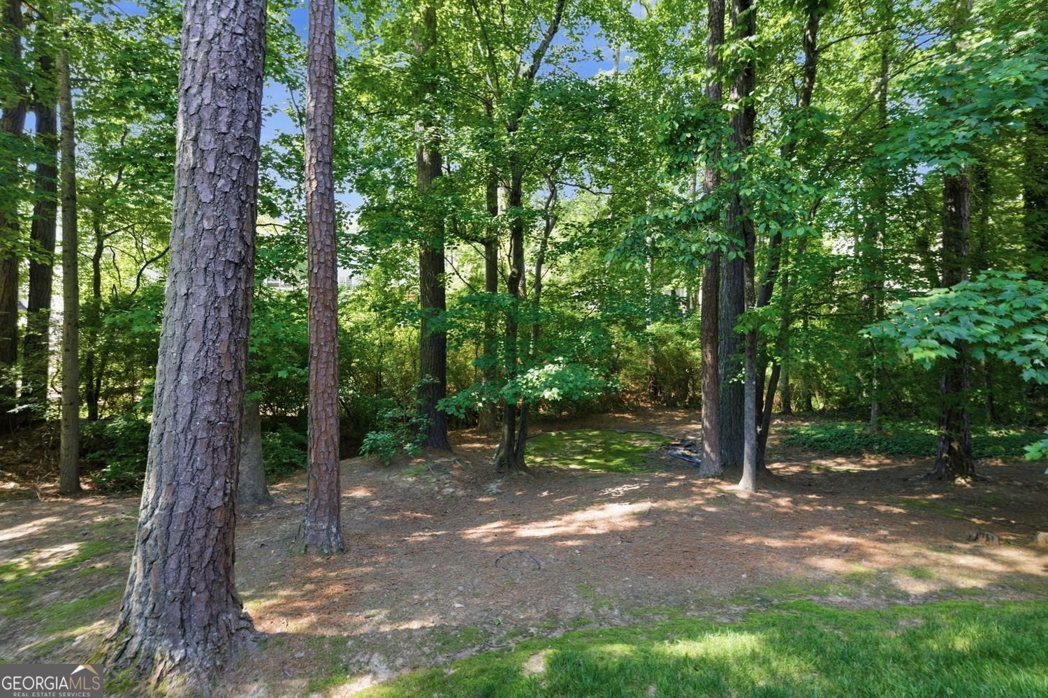 2046 Kinsmon Drive Marietta - Photo 62