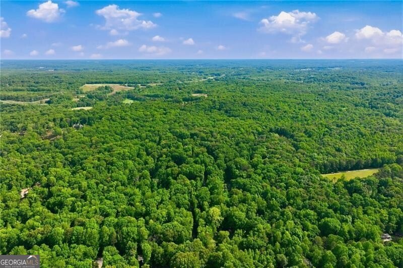 4264 Joe Chandler Road Gillsville - Photo 8