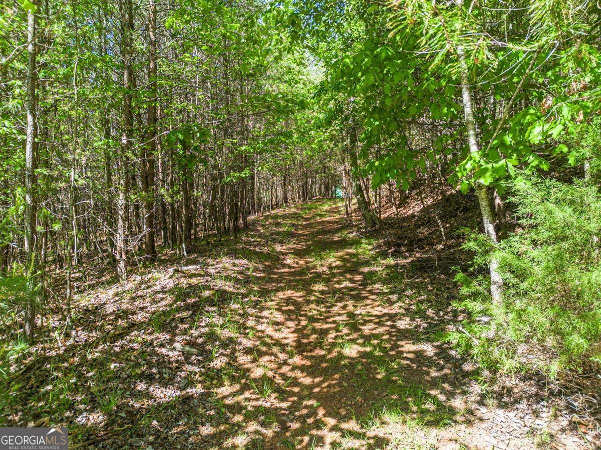 392 Oak Hills Drive Morganton - Photo 24