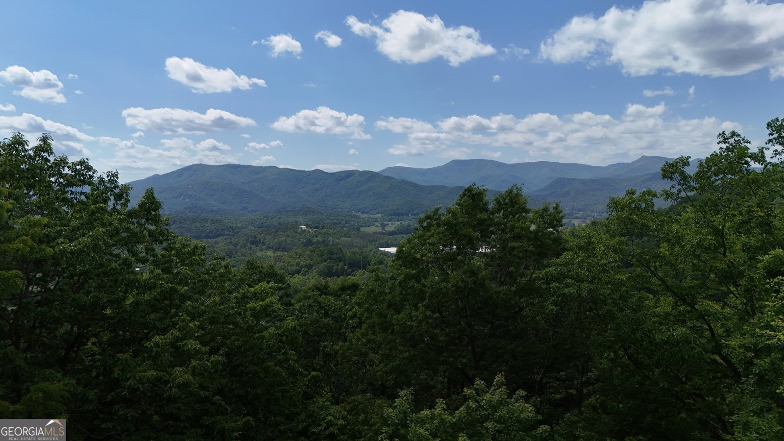 1491 Black Branch Road Rabun Gap - Photo 60