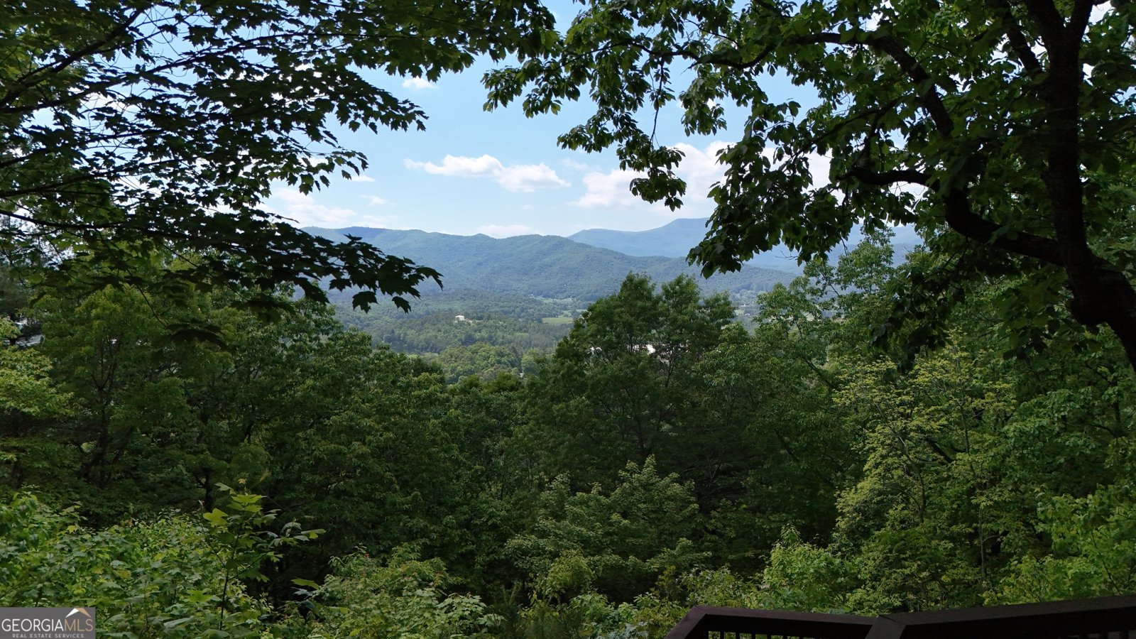 1491 Black Branch Road Rabun Gap - Photo 61