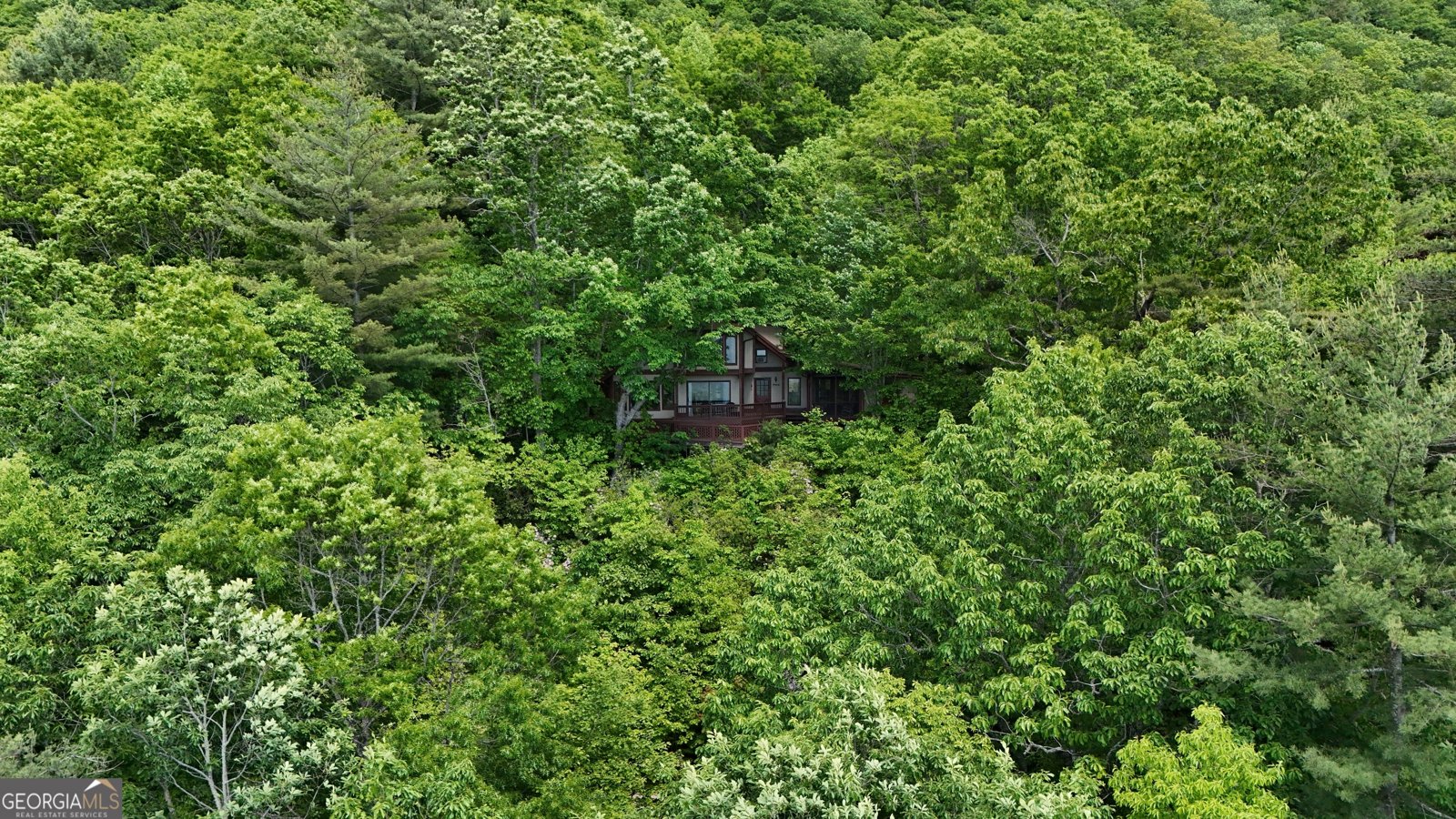 1491 Black Branch Road Rabun Gap - Photo 62