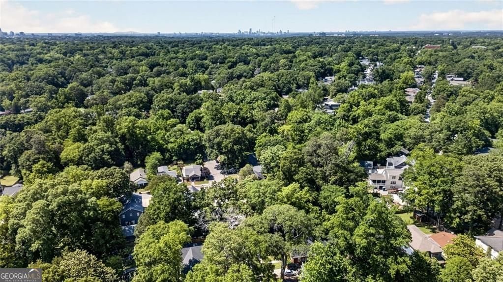 2314 1st Avenue Atlanta - Photo 44