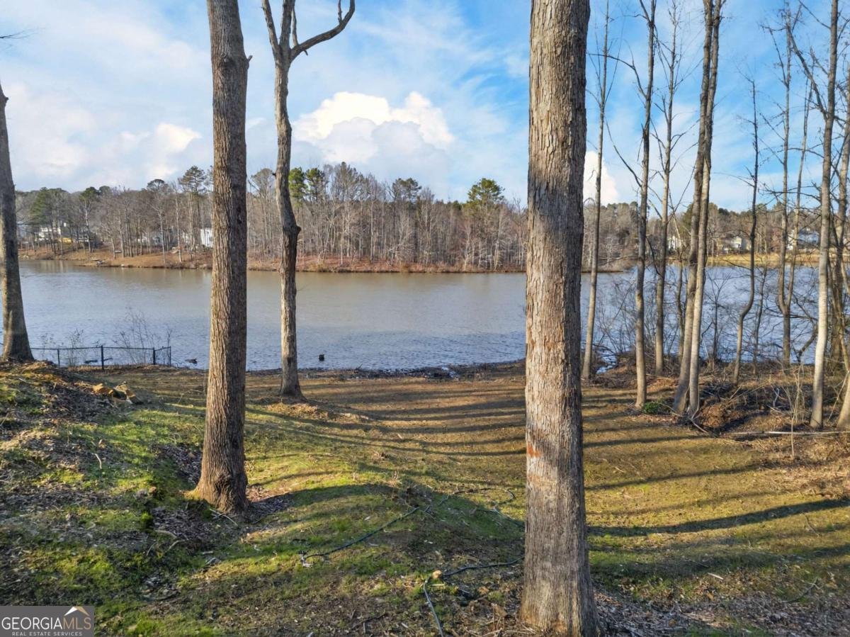 511 Lakeside Drive Hiram - Photo 50