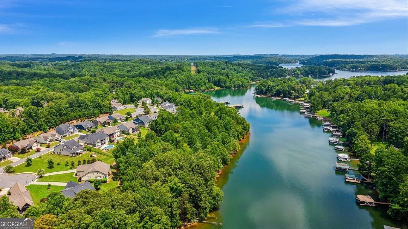 17 Lake Sydney Drive Dawsonville - Photo 36