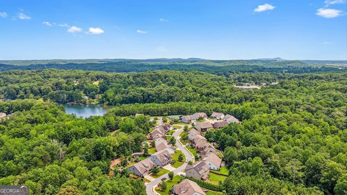 17 Lake Sydney Drive Dawsonville - Photo 39