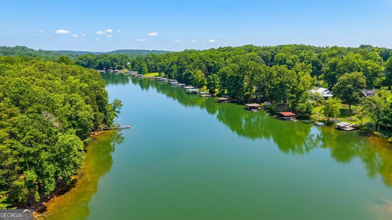 17 Lake Sydney Drive Dawsonville - Photo 40