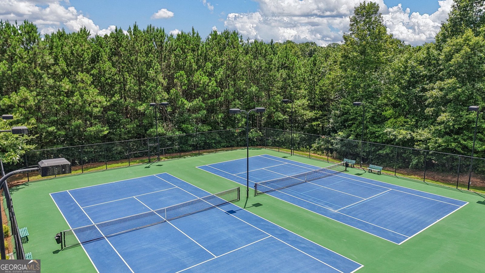 17 Lake Sydney Drive Dawsonville - Photo 45