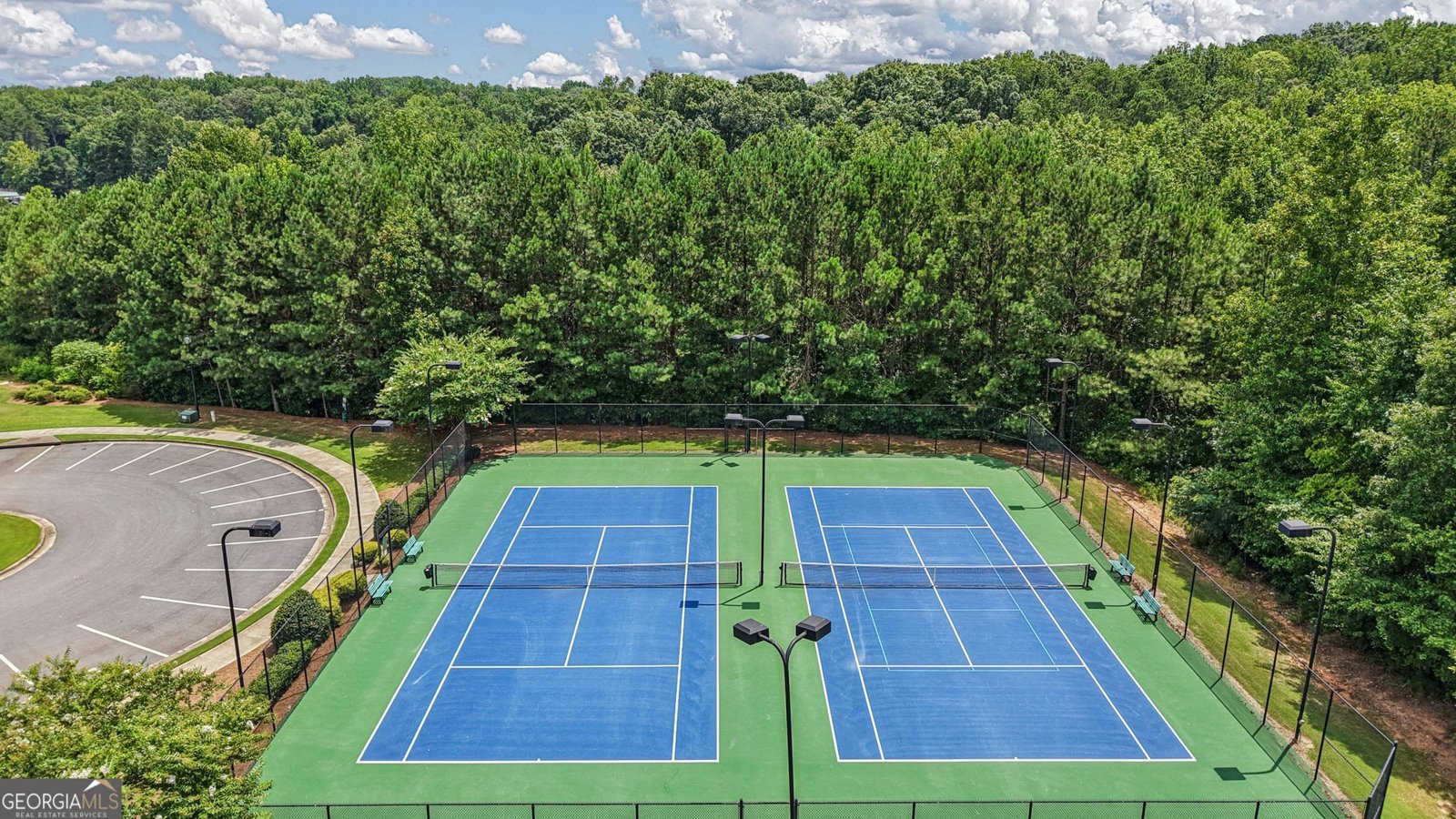 17 Lake Sydney Drive Dawsonville - Photo 46