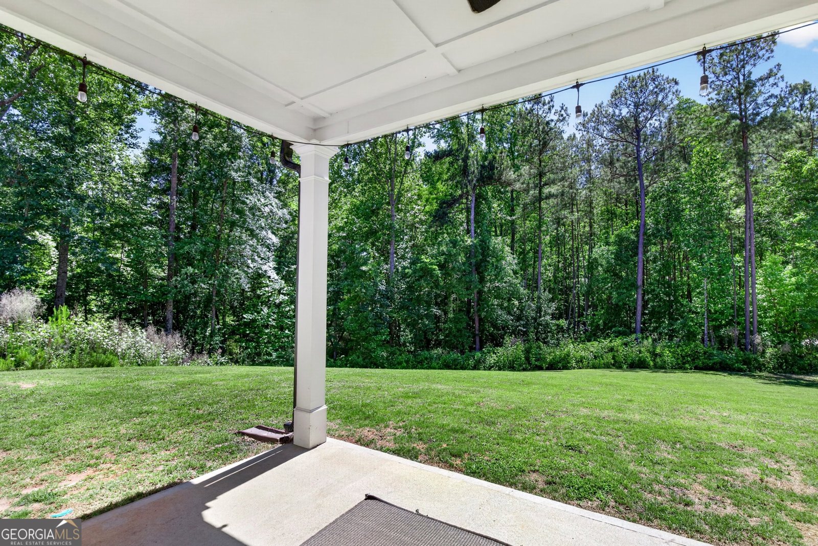 1764 Luther Bailey Road Senoia - Photo 41