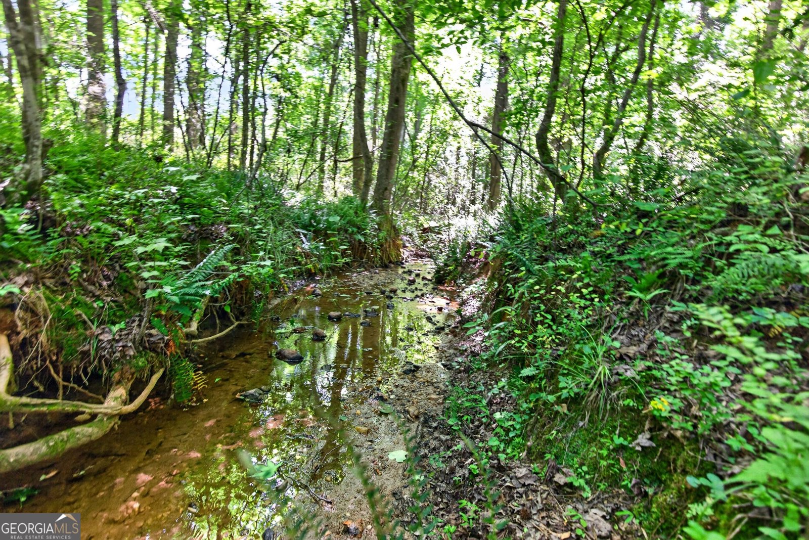 1764 Luther Bailey Road Senoia - Photo 48