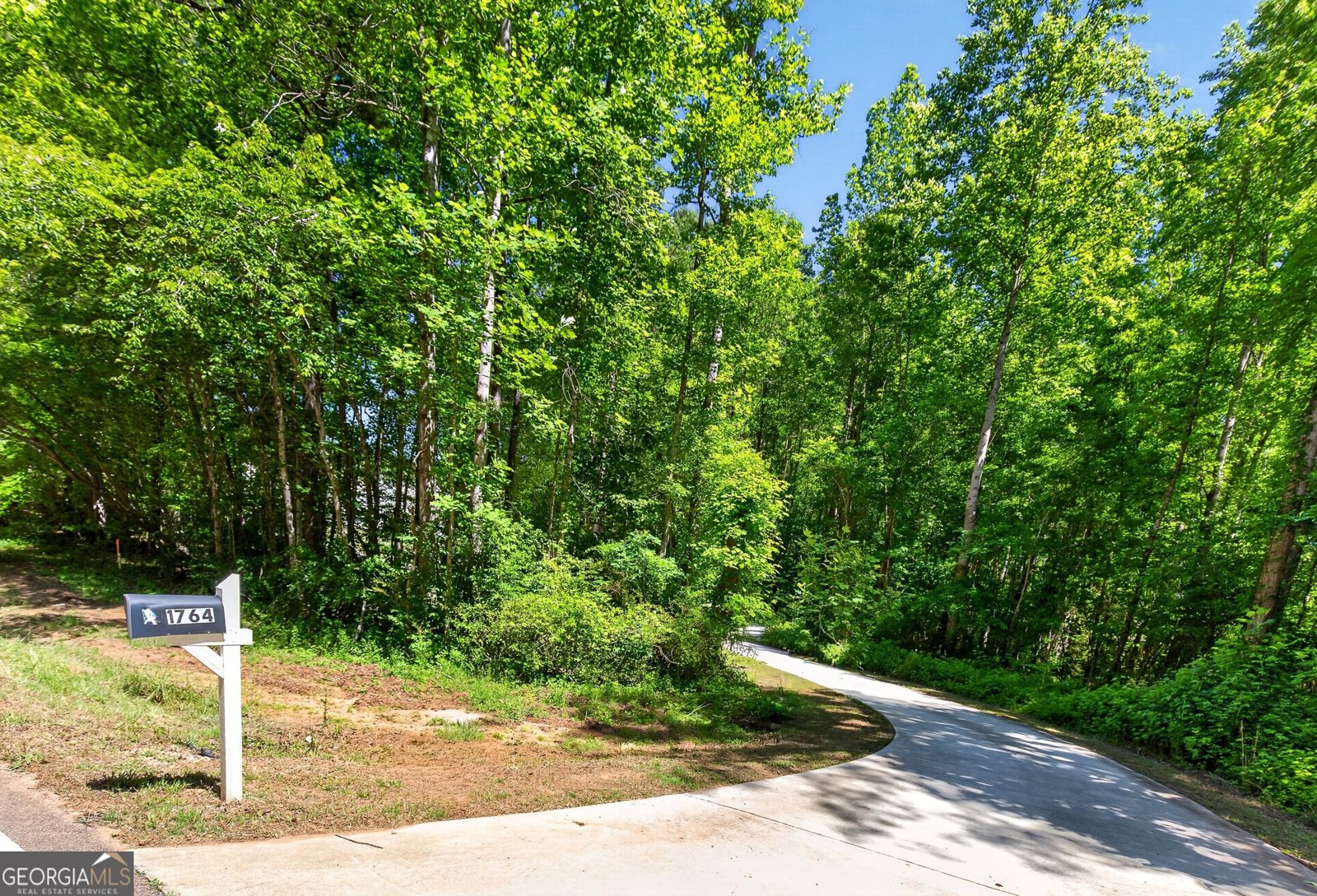 1764 Luther Bailey Road Senoia - Photo 49