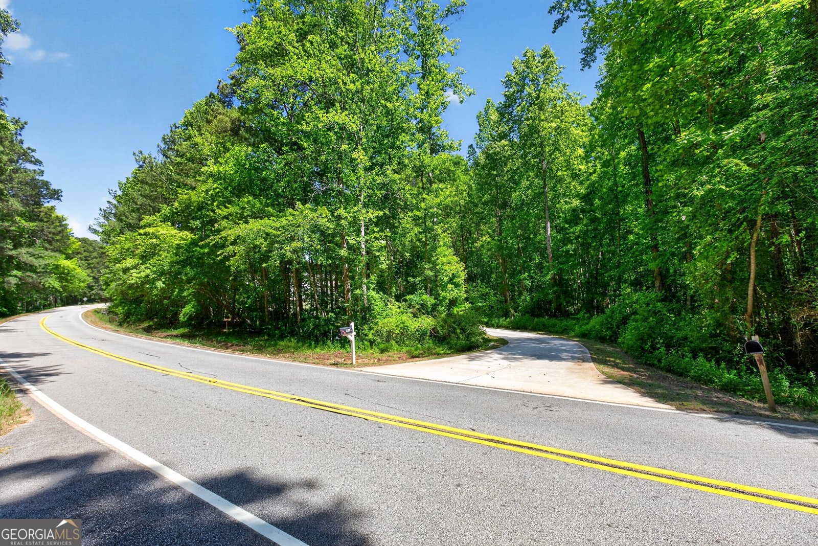 1764 Luther Bailey Road Senoia - Photo 50