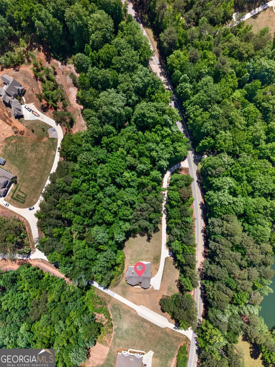 1764 Luther Bailey Road Senoia - Photo 60