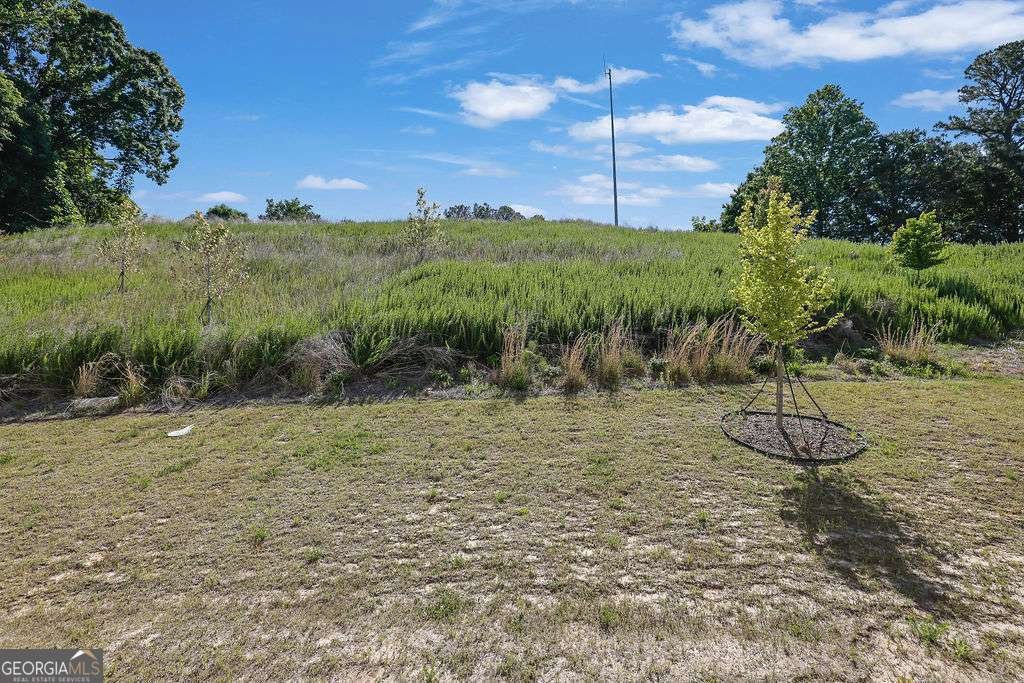 78 Shadwood Place Dawsonville - Photo 26