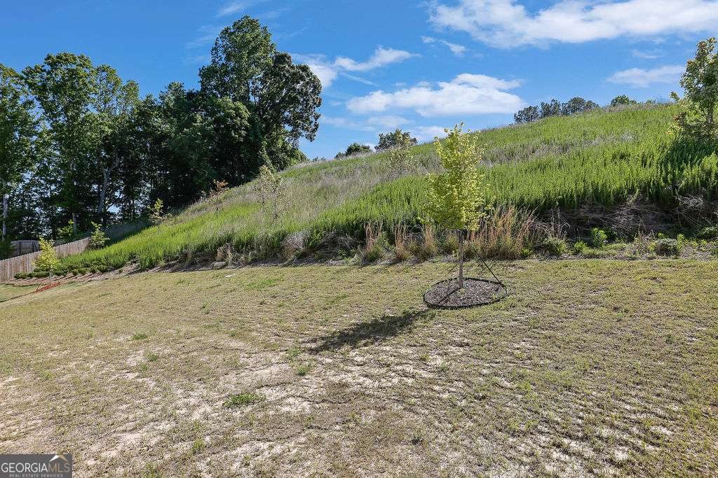 78 Shadwood Place Dawsonville - Photo 27