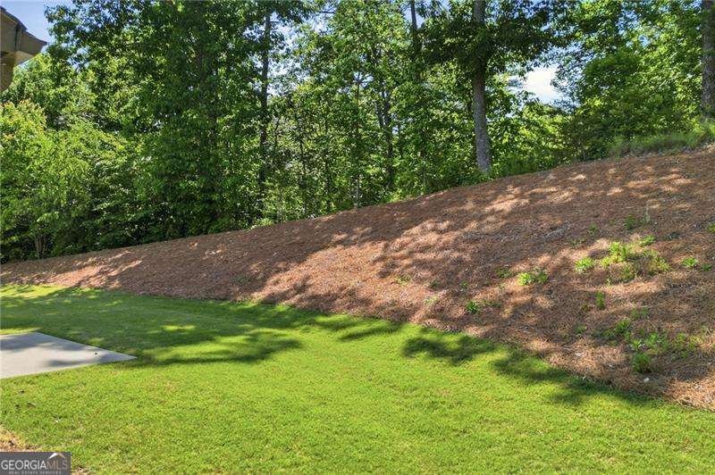 219 Laurel Creek Court Canton - Photo 46
