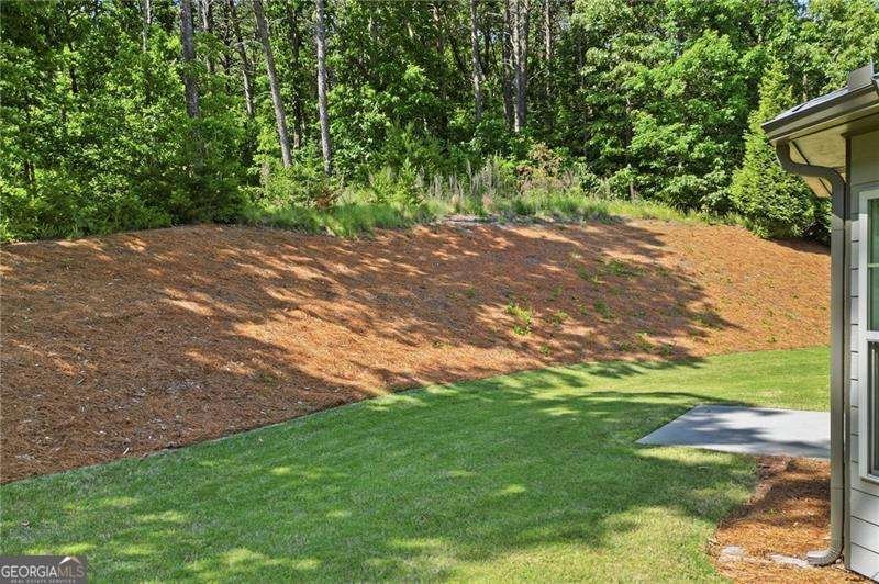 219 Laurel Creek Court Canton - Photo 49