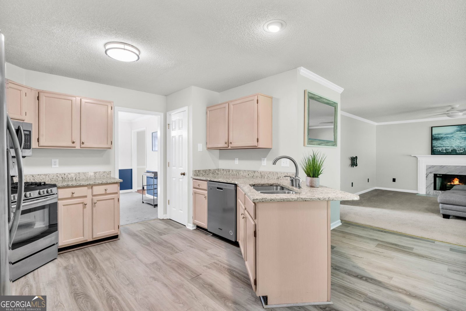 608 Adam Circle Woodstock - Photo 13