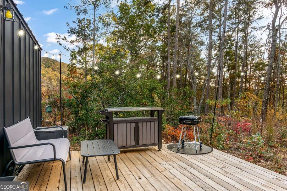 115 Raleigh Ridge Drive Blue Ridge - Photo 16
