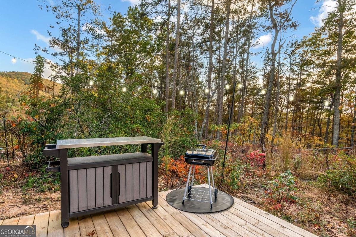 115 Raleigh Ridge Drive Blue Ridge - Photo 18