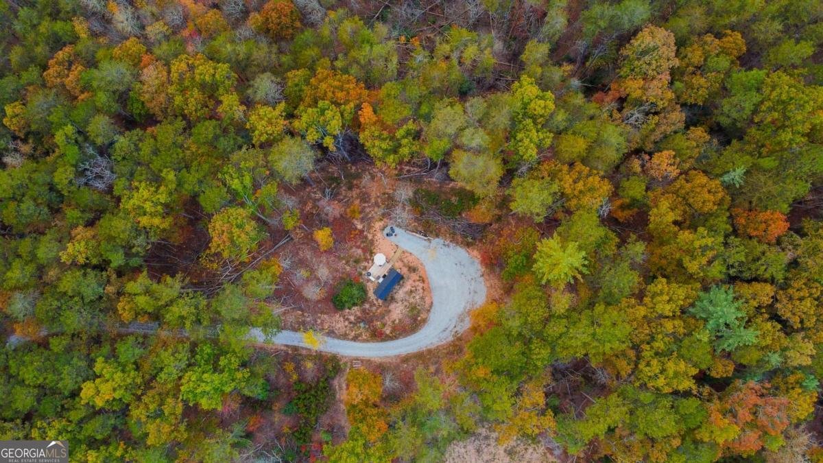 115 Raleigh Ridge Drive Blue Ridge - Photo 33