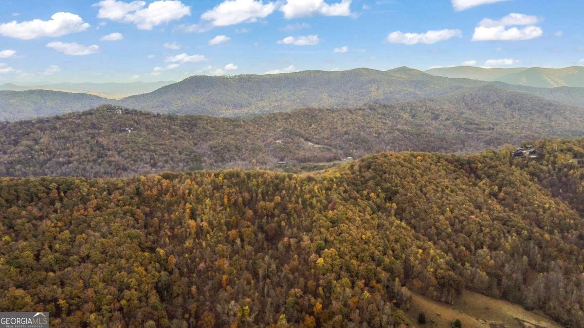 115 Raleigh Ridge Drive Blue Ridge - Photo 35