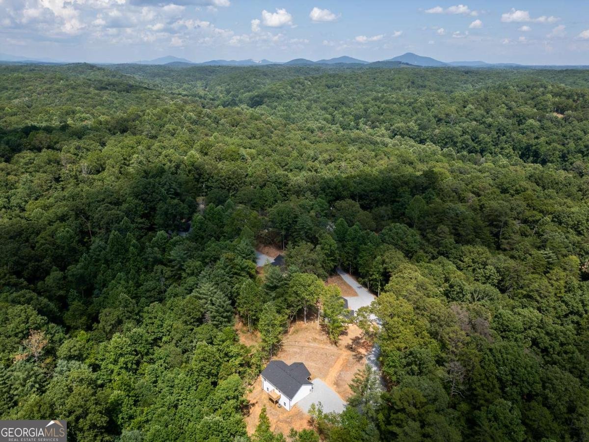 205 Perkins Road Dahlonega - Photo 49
