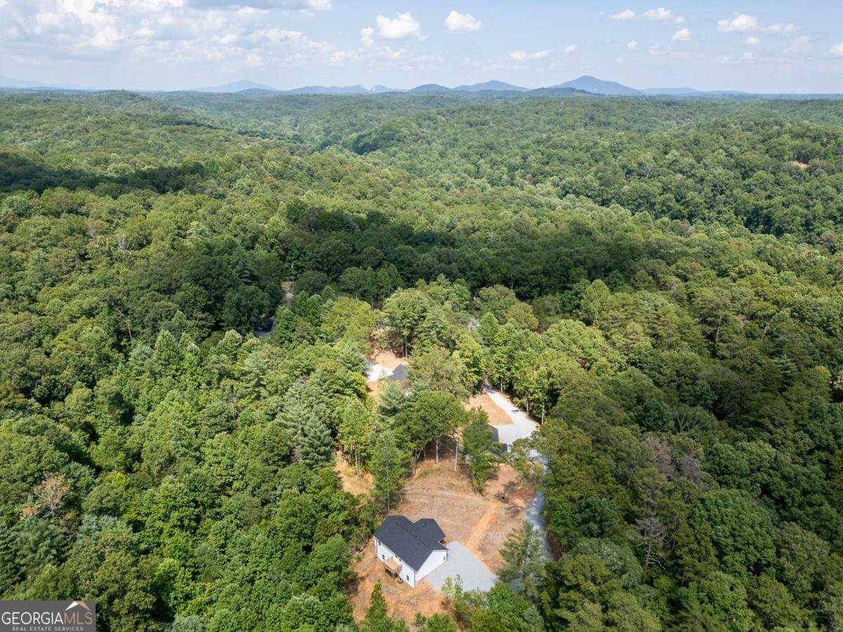 205 Perkins Road Dahlonega - Photo 50