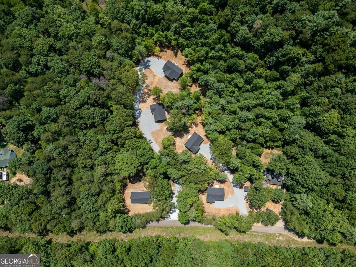 205 Perkins Road Dahlonega - Photo 51