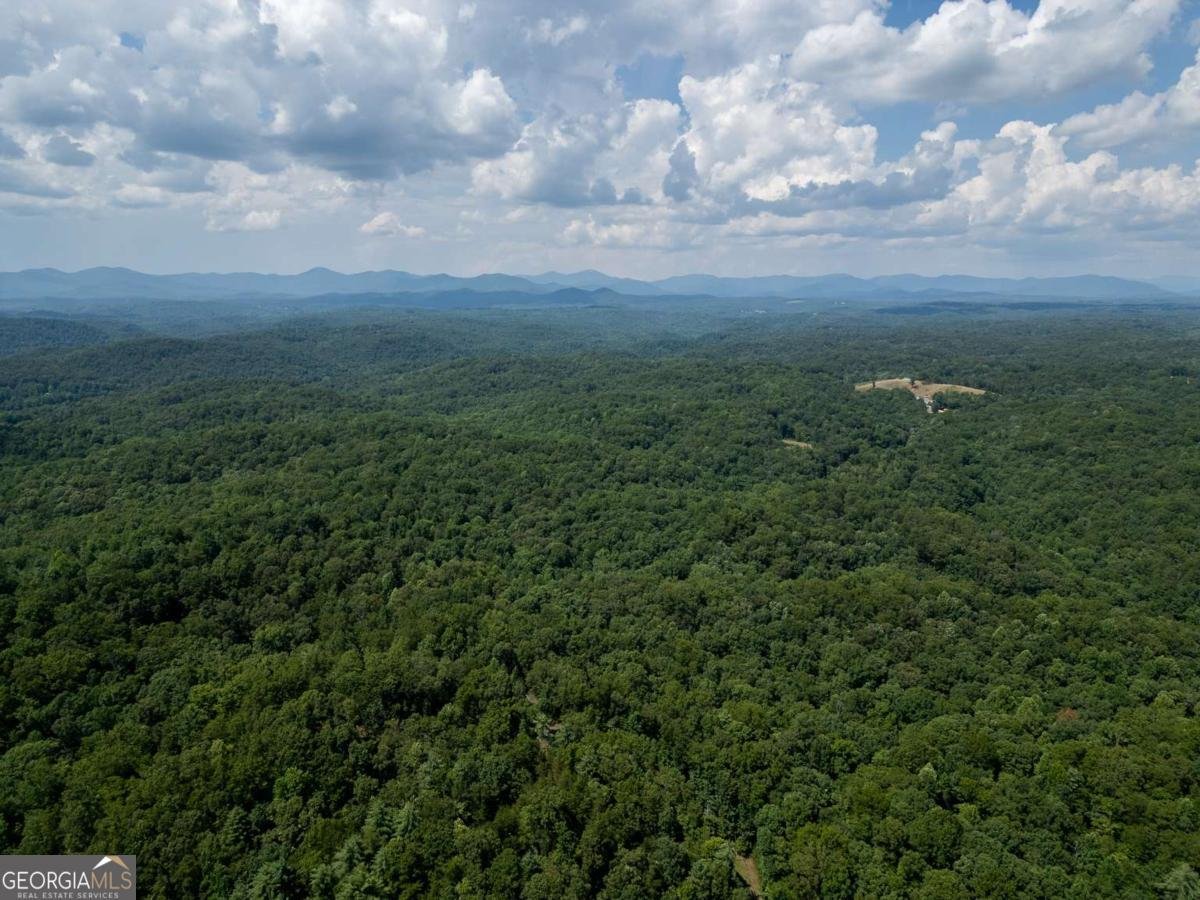 205 Perkins Road Dahlonega - Photo 56