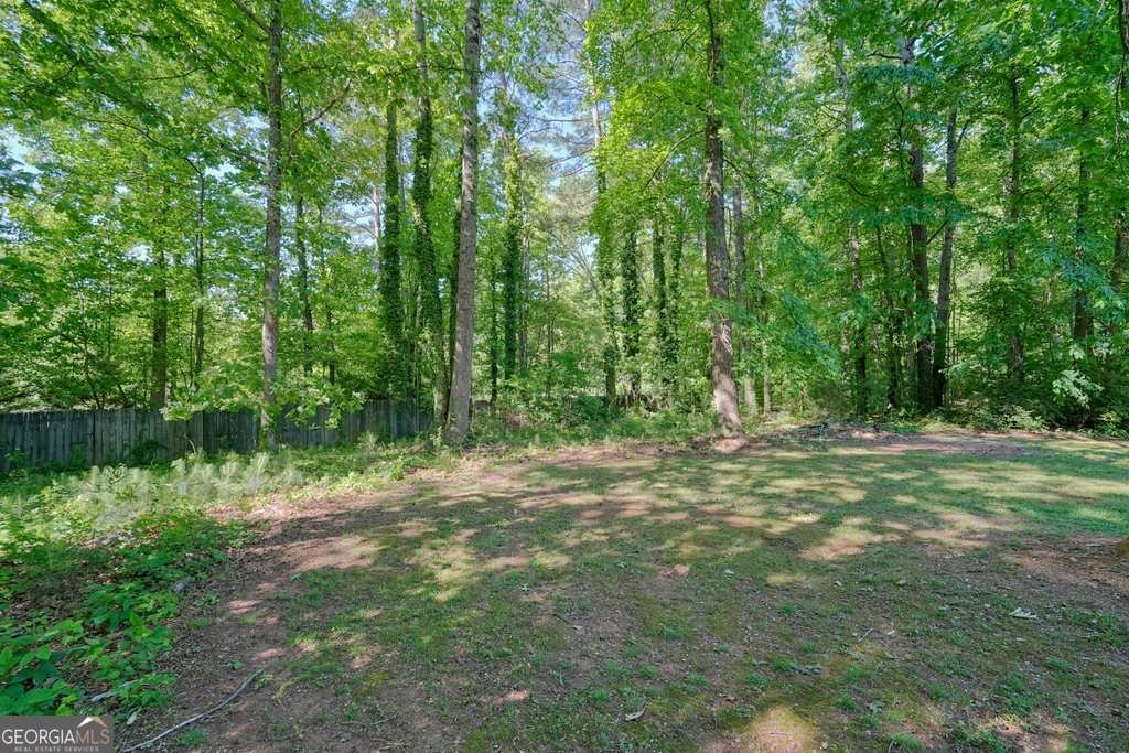 1012 Atherton Lane Woodstock - Photo 60