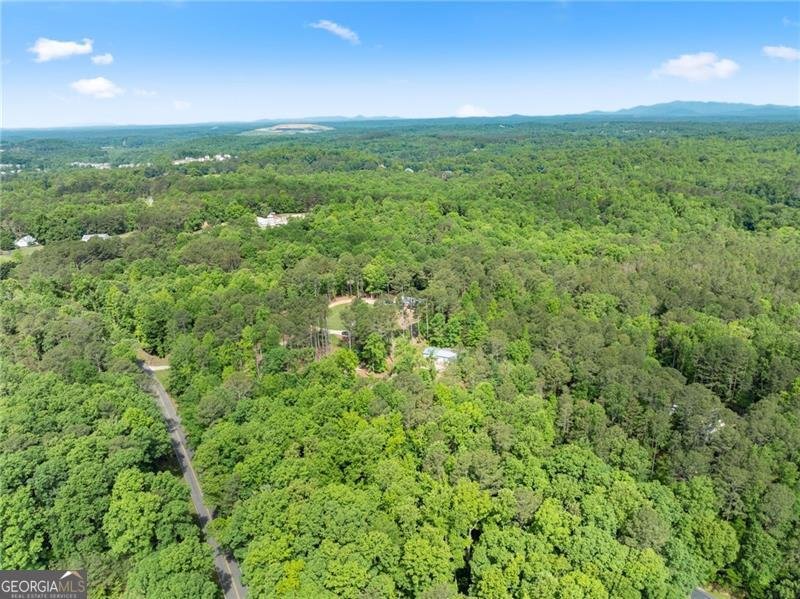 7095 Cogburn Road Cumming - Photo 47