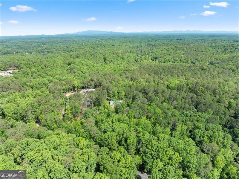 7095 Cogburn Road Cumming - Photo 49