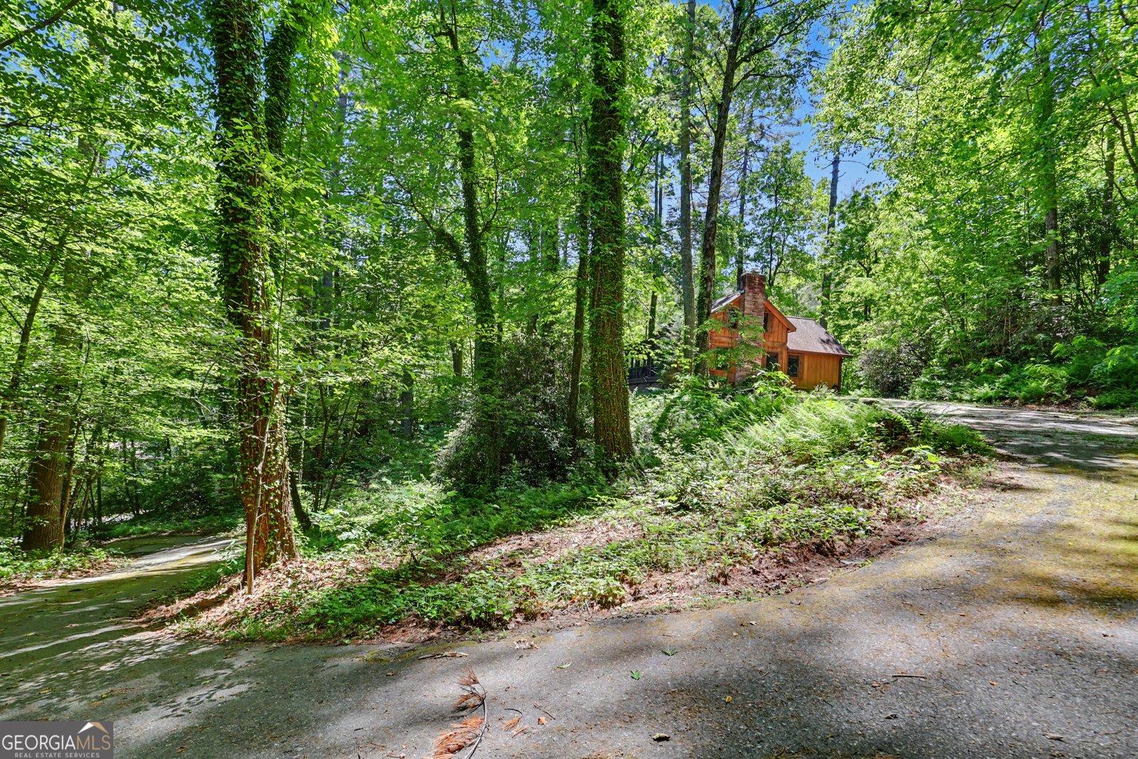 102 Moses Road Rabun Gap - Photo 38