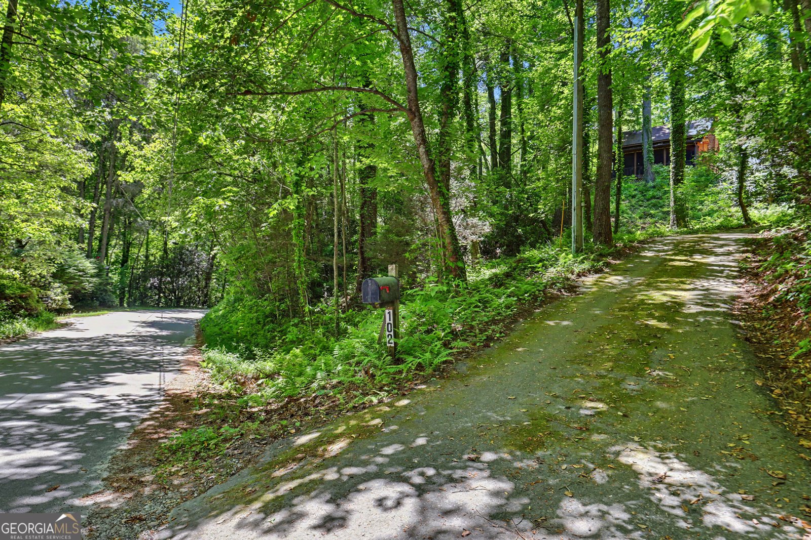 102 Moses Road Rabun Gap - Photo 39