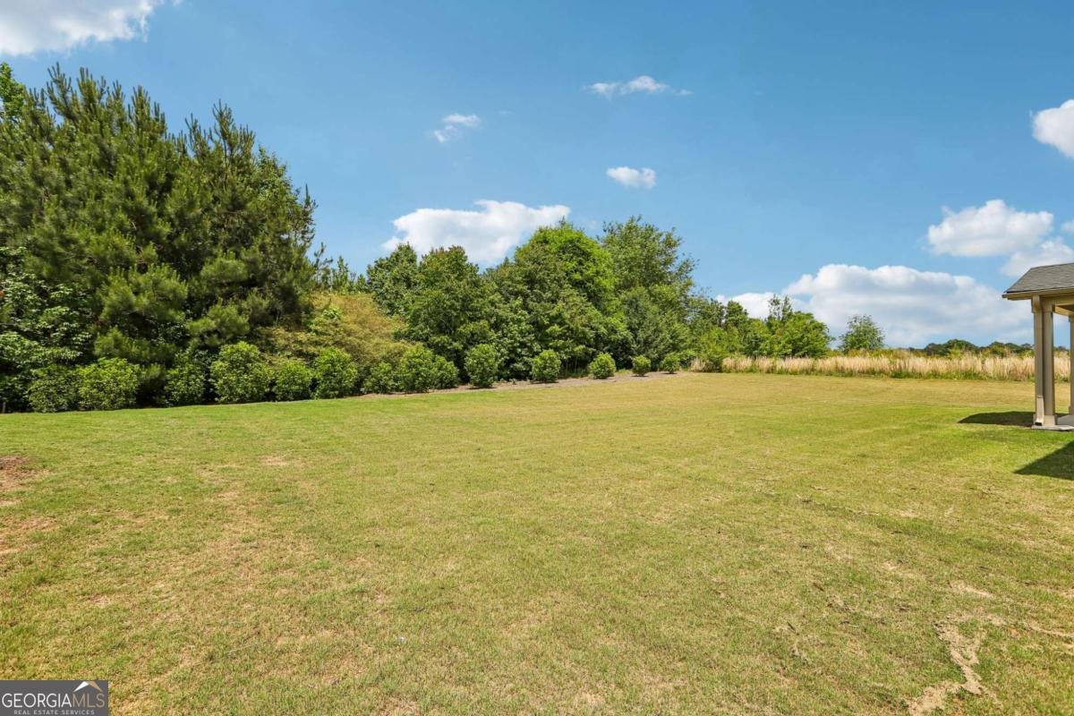 549 Daffodil Lane Mcdonough - Photo 26