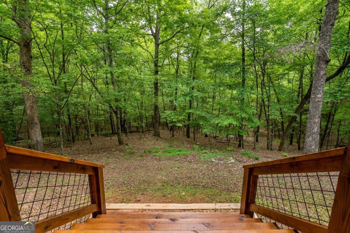 294 Oakwood Trail Mineral Bluff - Photo 59