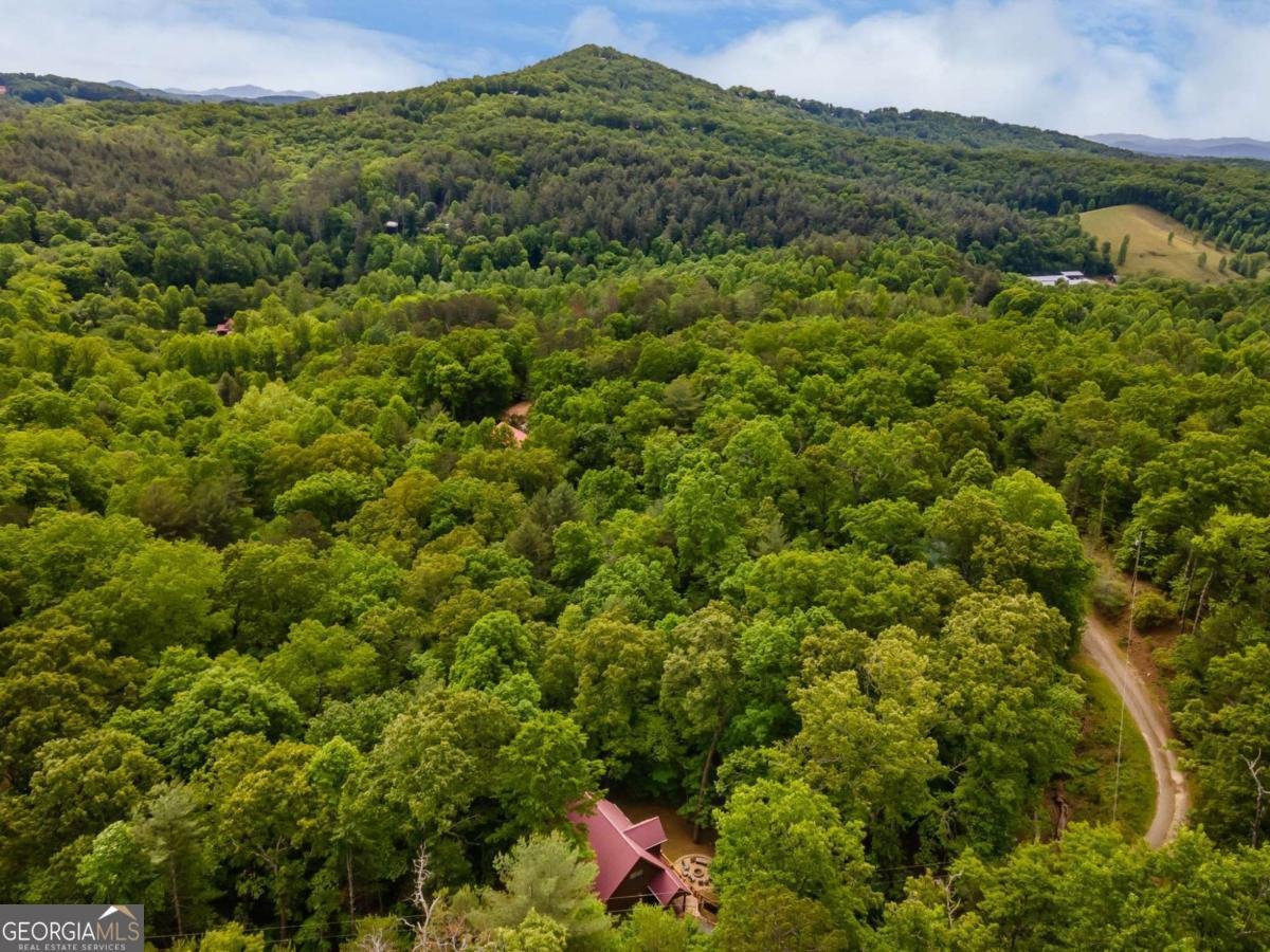 294 Oakwood Trail Mineral Bluff - Photo 6