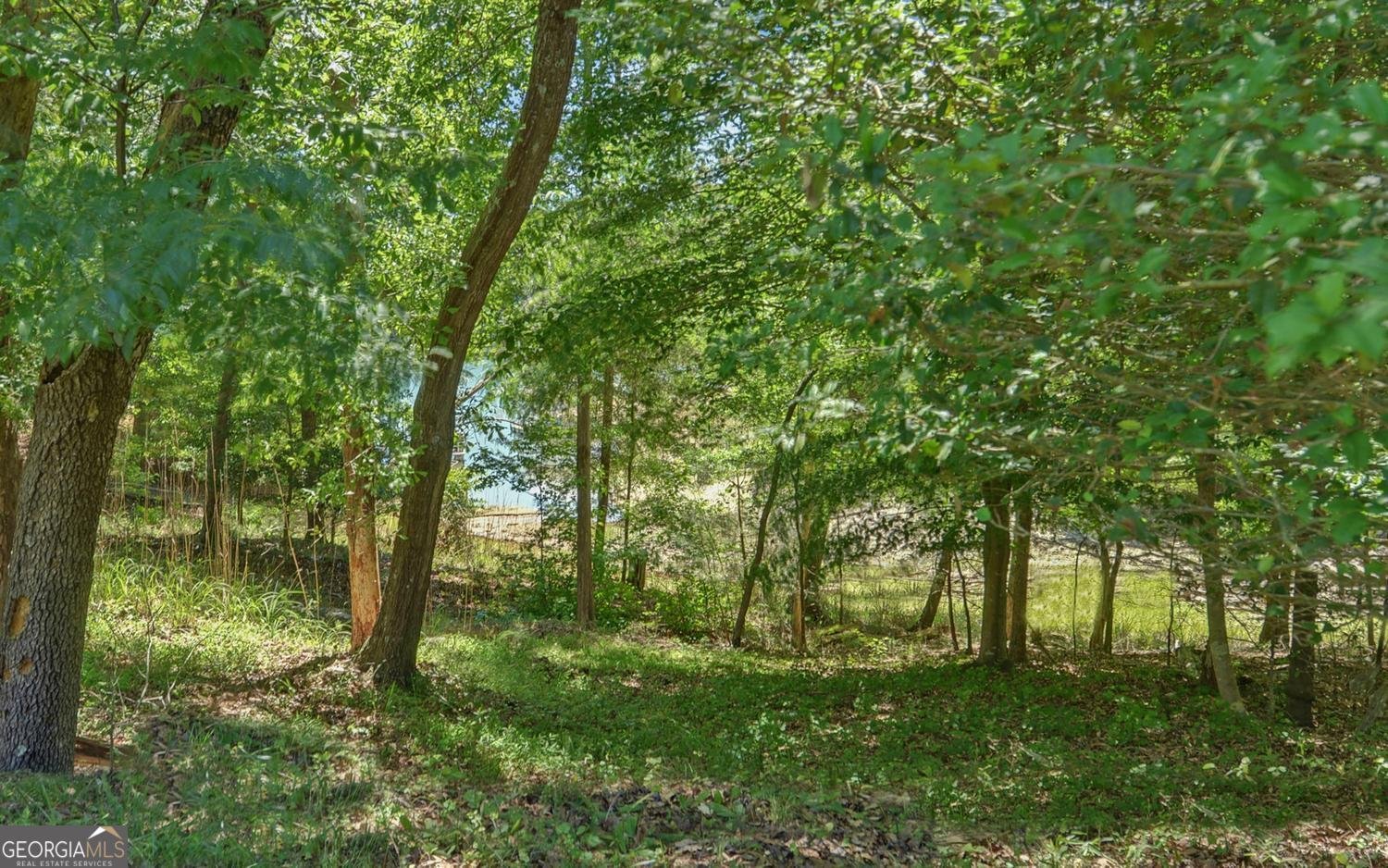 194 Harvey Lane Lavonia - Photo 41