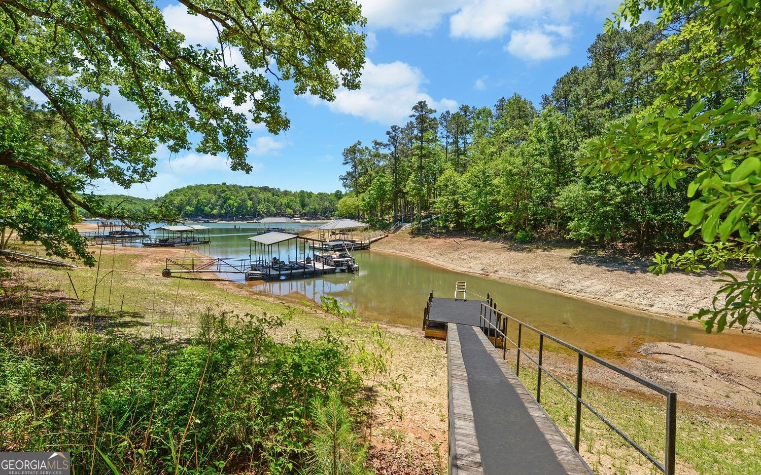 194 Harvey Lane Lavonia - Photo 44
