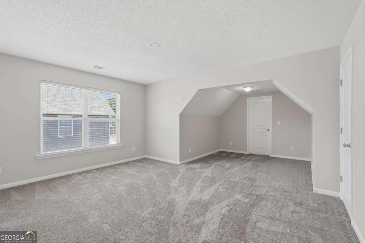 127 Hidden Lake Circle Canton - Photo 23