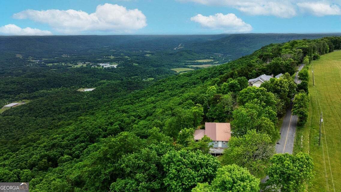 983 Sunset Drive Rising Fawn - Photo 17