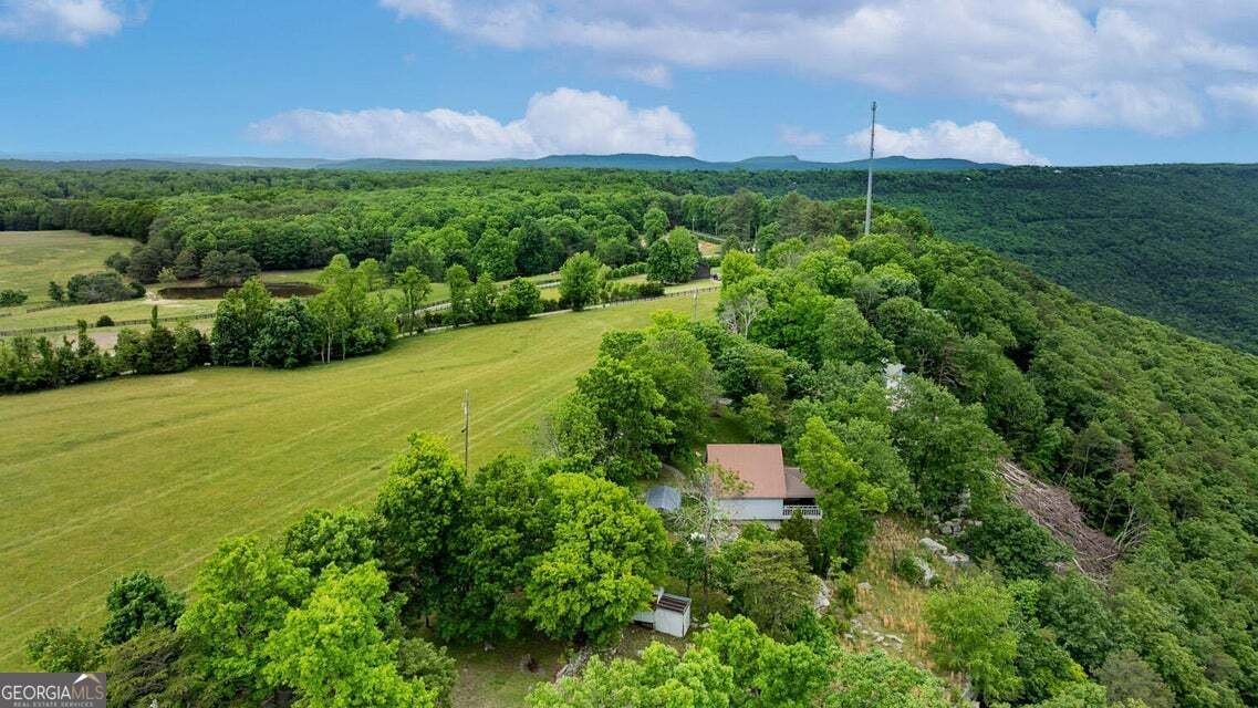 983 Sunset Drive Rising Fawn - Photo 33