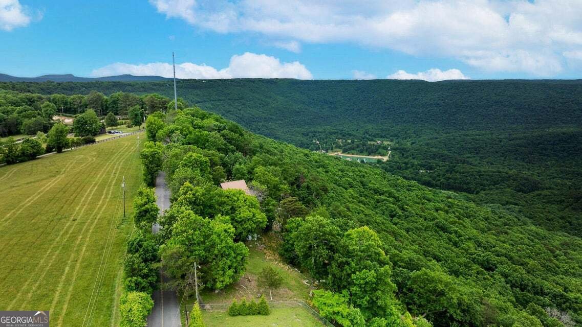 983 Sunset Drive Rising Fawn - Photo 34