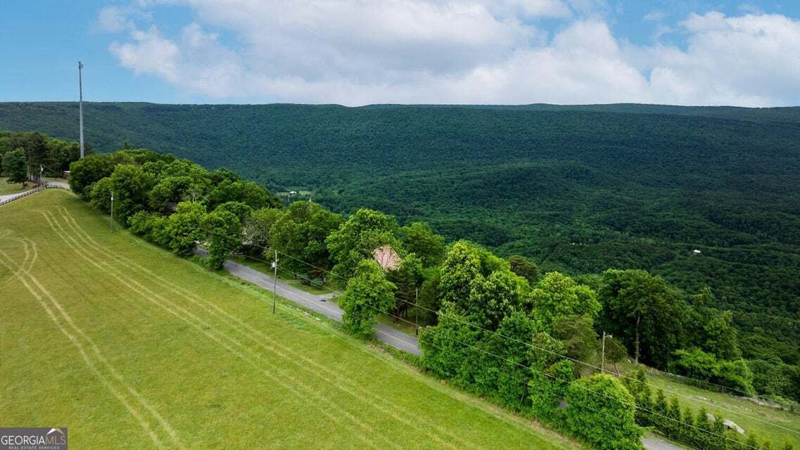 983 Sunset Drive Rising Fawn - Photo 35